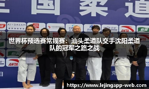 世界杯预选赛常规赛：汕头柔道队交手沈阳柔道队的冠军之路之战